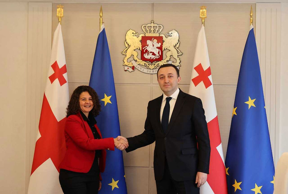 Georgian PM meets French Ambassador