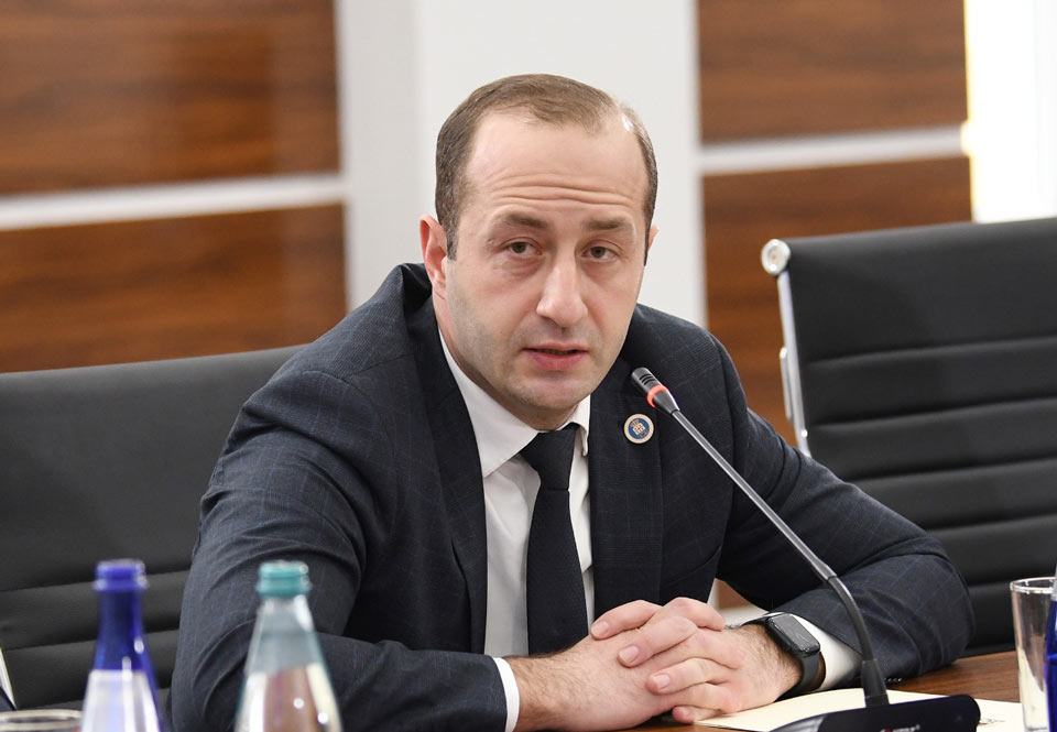 Shota Tkeshelashvili elected as Prosecutor's Council Chair