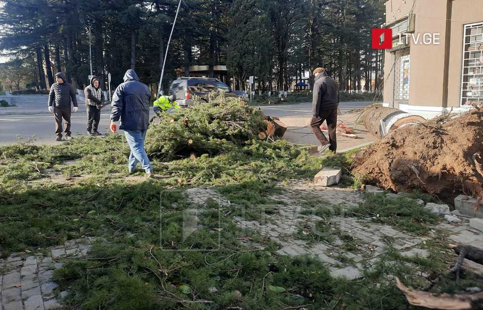 Գուրիայի շրջանում աղետի վերացման աշխատանքներ են տարվում