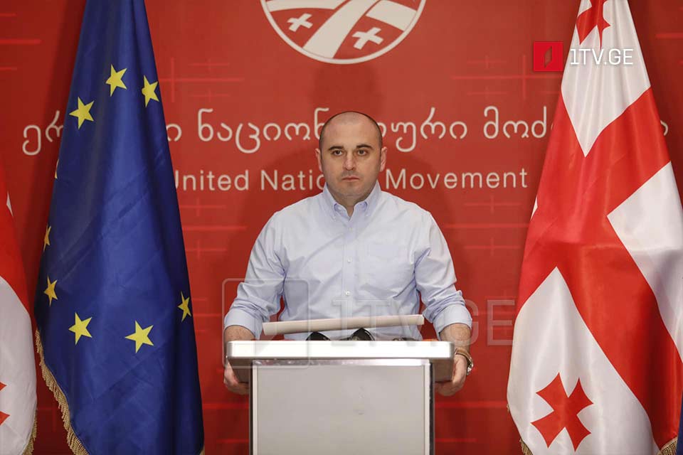 Levan Khabeishvili elected new UNM Chair