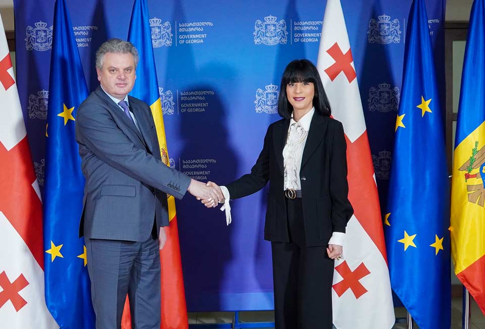 Georgian Reconciliation Minister hosts Moldovan Deputy PM for Reintegration