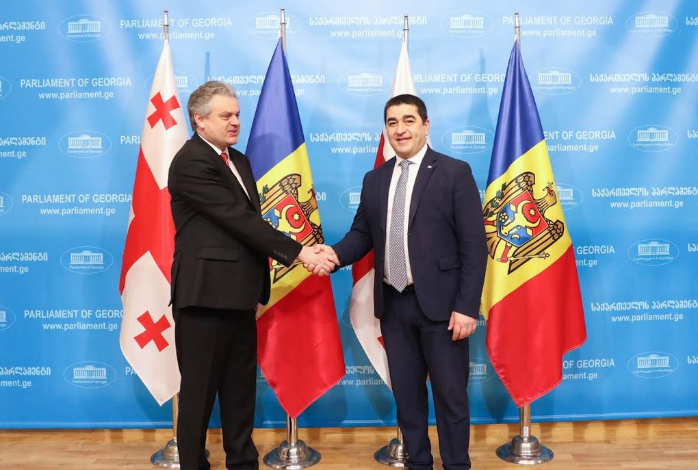 Parliament Speaker meets Moldovan Vice PM