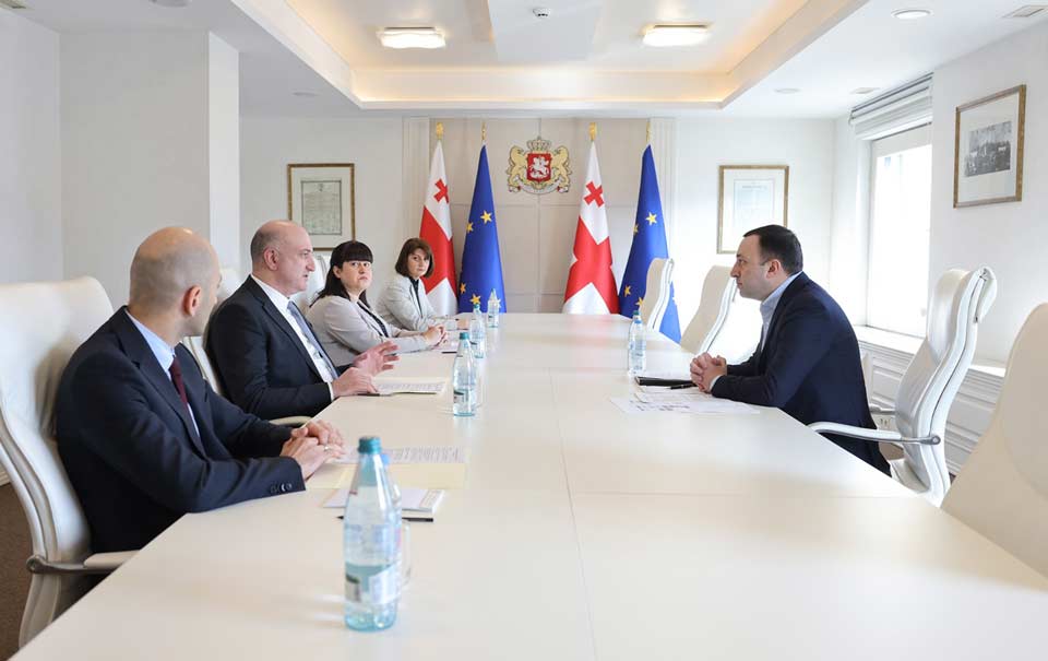 Georgian PM holds working meeting with Health Minister