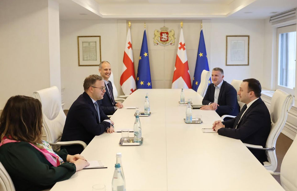İrakli Ğaribaşvili Macarıstanın Baş nazirinin siyasi idarəsinin direktoru ilə görüşüb