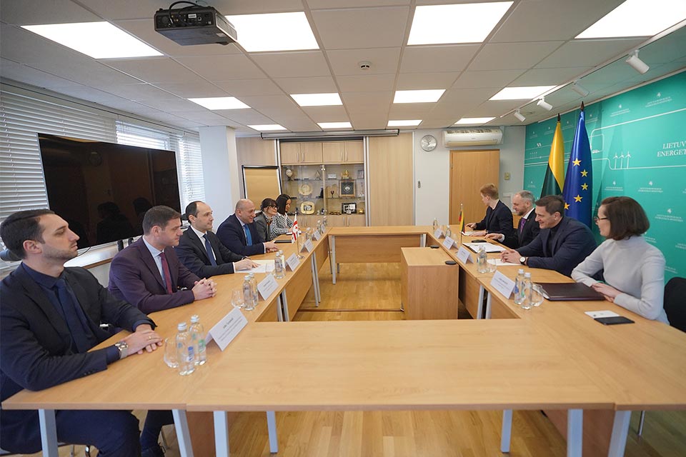 Georgian Economy Minister meets Lithuanian Energy Minister