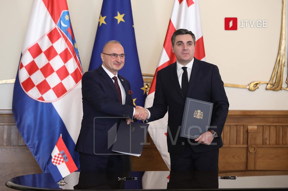 Илья Дарчиашвили - В беседе с хорватским коллегой была подчеркнута важность продолжения политического диалога, углубления сотрудничества