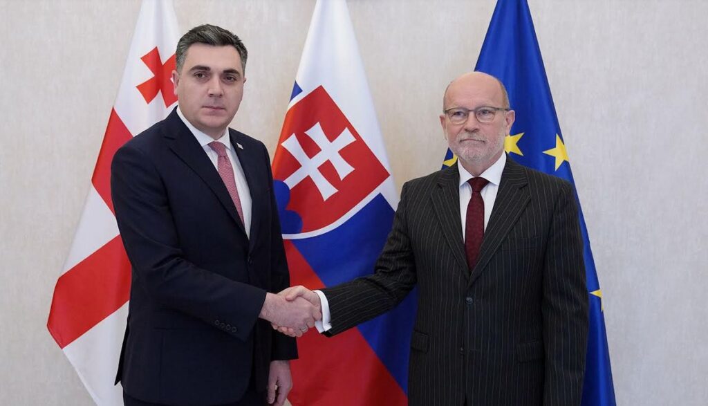 Georgian, Slovak FMs discuss close partnership