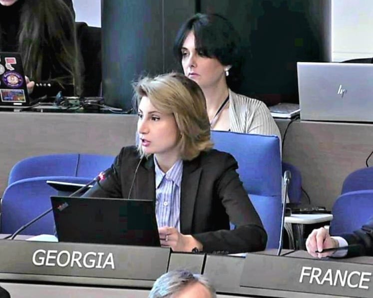 Georgian Ambassador in CoE presents 2022 human rights report