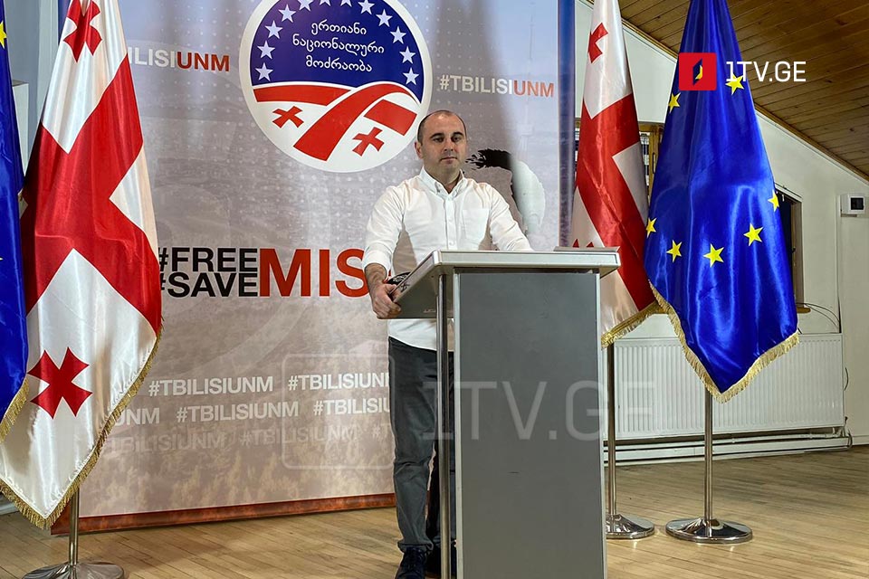 UNM chair: "Russian Dream" sabotages Georgia's European future