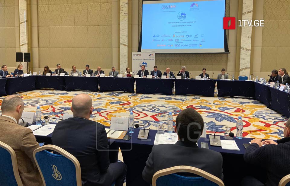 При организации бизнес-совета ЕС-Грузия и поддержке USAID проходит первая встреча почетного совета «Платформы Черного моря»