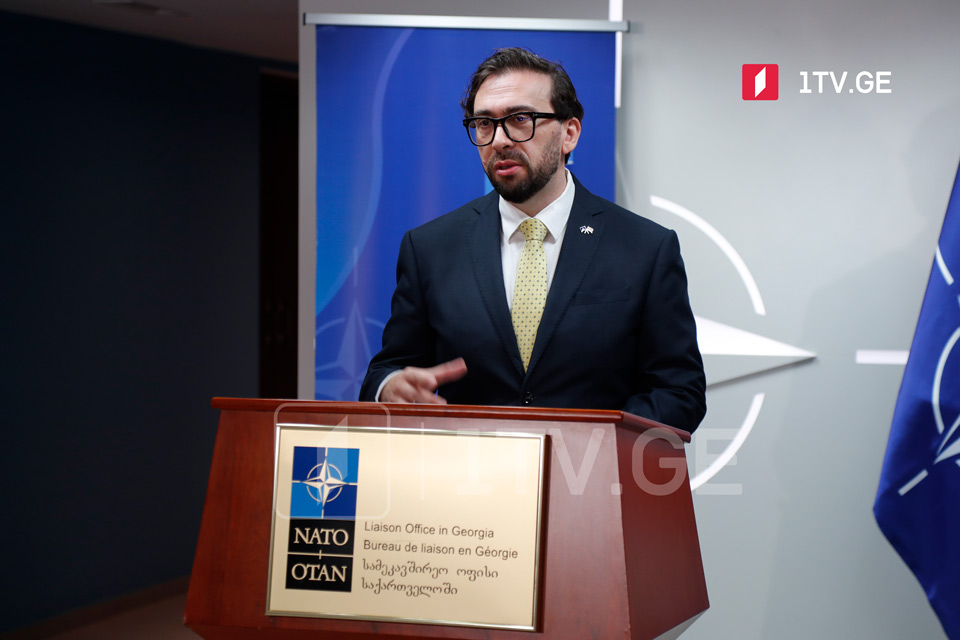 Александр Винников - НАТО призывает заинтересованные стороны всего политического спектра Грузии вернуться к повестке инклюзивных реформ