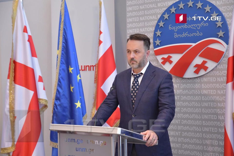 Дмитрий Шашкин - Заказом грузинского народа является выполнение рекомендаций ЕС