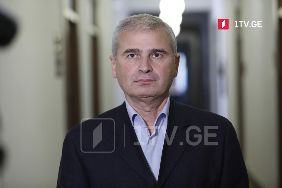 MP Kadagishvili vows GD to do utmost to prevent 'damaging venture' 
