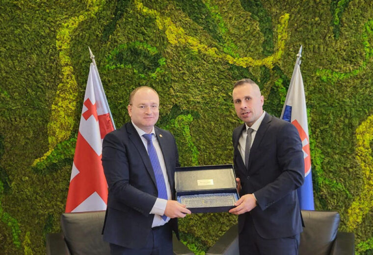Ираклий Берая встретился с госсекретарем Минобороны Словакии в Братиславе