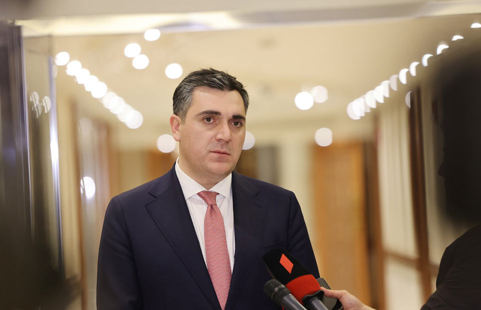 FM says Georgia acknowledges importance of implementing EC's 12 recommendations