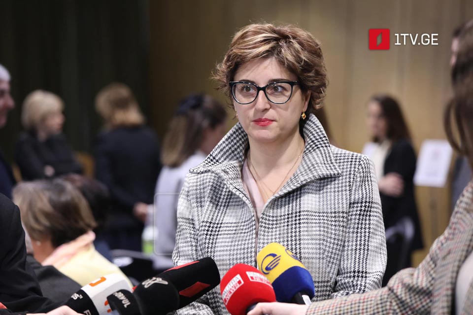 MP Samnidze hopes all opposition MPs vote for fact-finding commission's establishment