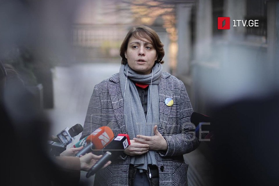 Элене Хоштария - У меня нет партийного финансирования от Кезерашвили, время все покажет
