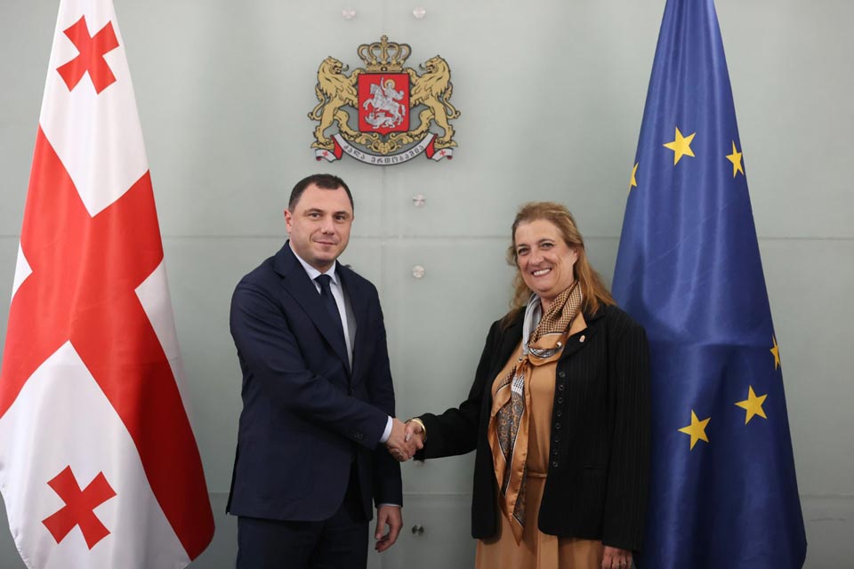 Education Minister hosts Hungarian Ambassador