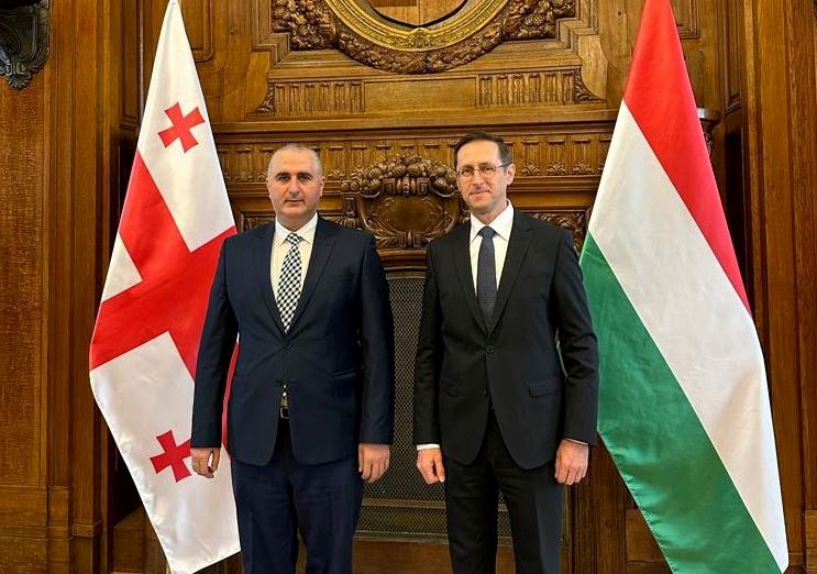 Лаша Хуцишвили встретился с заместителем премьер-министра Венгрии