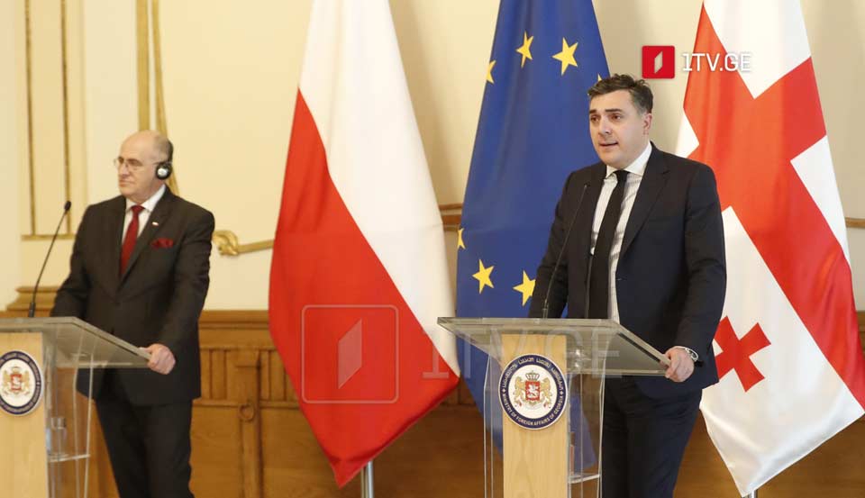 Илья Дарчиашвили - Поддержка Польши в направлении европейской и евроатлантической интеграции жизненно важна