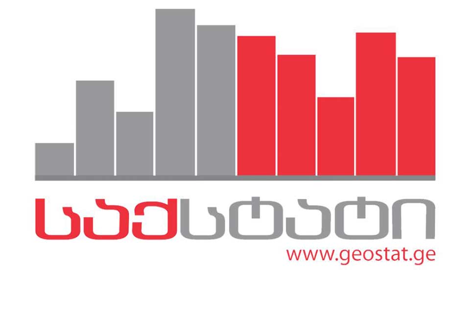 GeoStat reports 17.3% monthly income increase in 2022