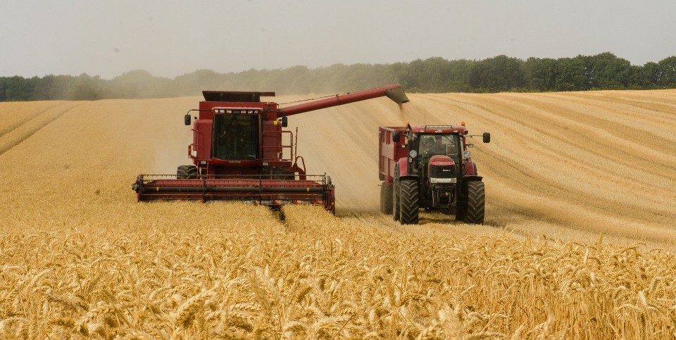 Եվրահանձնաժողովը ժամանակավորապես արգելել է Ուկրաինայից գյուղատնտեսական որոշ ապրանքների ներմուծումը Բուլղարիա, Հունգարիա, Լեհաստան, Ռումինիա և Սլովակիա