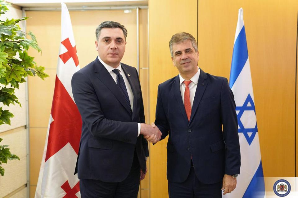 Georgian and Israeli FMs meet