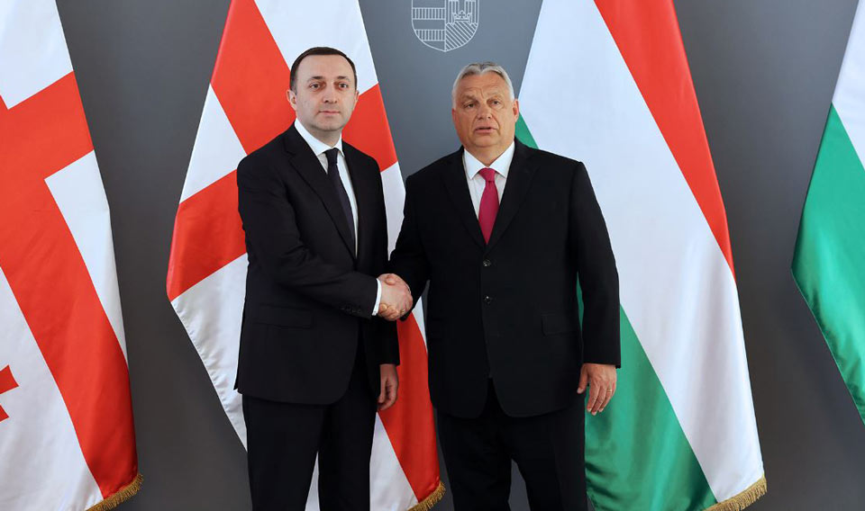 Ираклий Гарибашвили встретился с Виктором Орбаном