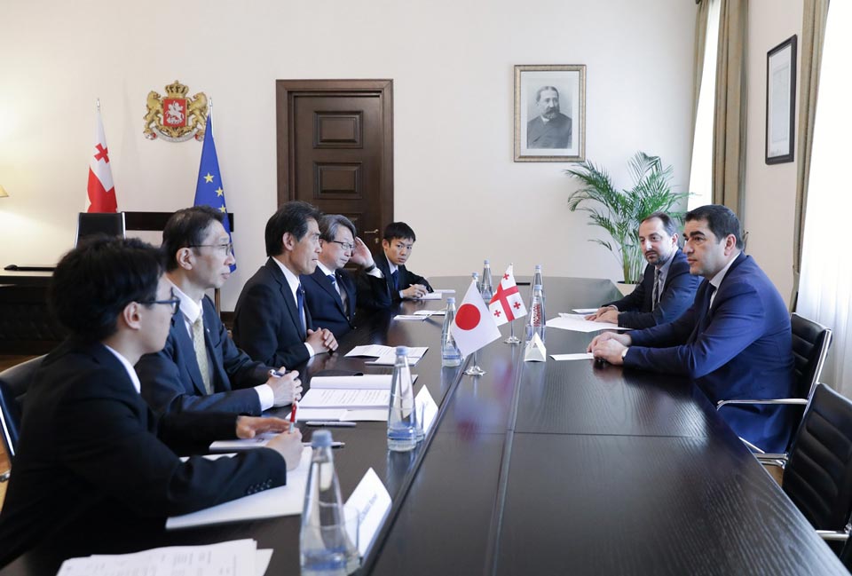 Parliament Speaker Meets Japan-Georgia Friendship Group