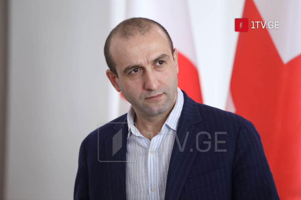 Girchi leader doubts of enough will among GD to impeach President