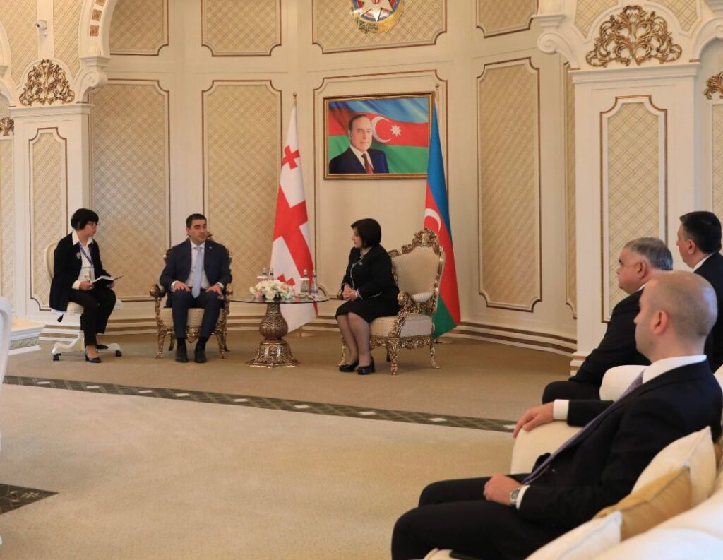 Georgian Parliament Speaker meets Azerbaijani counterpart