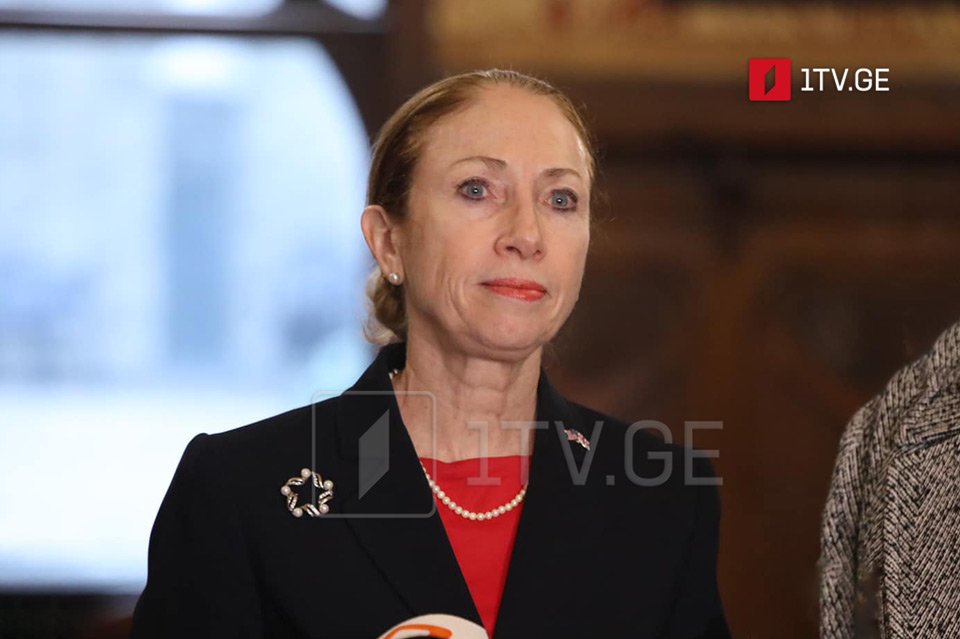 US Ambassador says she understands Georgian people's concerns