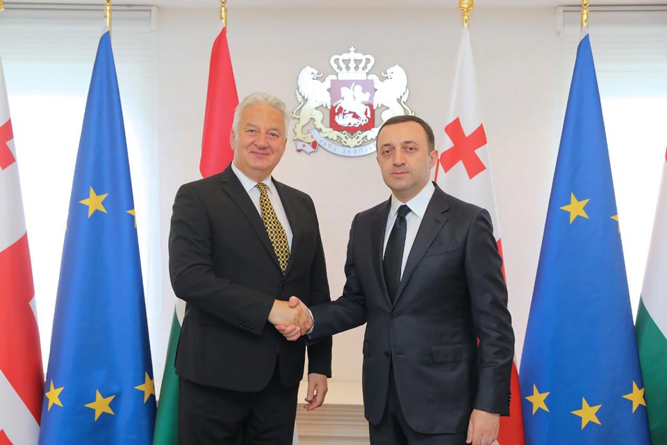 Georgian PM meets Hungarian Deputy PM