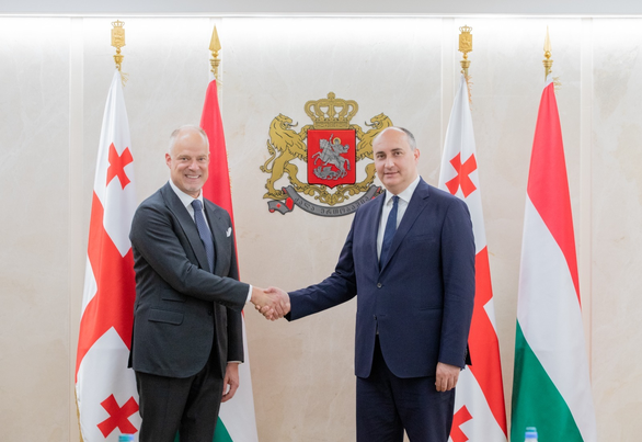 Georgian Defence Minister meets Hungarian colleague