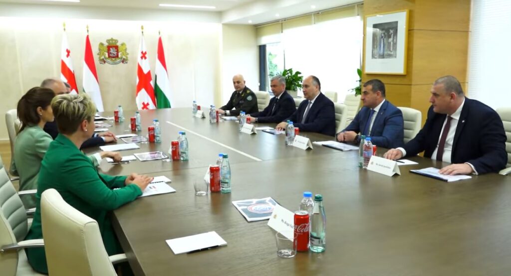 Georgian, Hungarian Defense Ministers meet Delta management