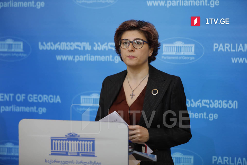 Хатуна Самнидзе - Я буду участвовать в процессе выполнения рекомендаций, чтобы подчеркнуть, что статус не имеет политической принадлежности, это статус страны