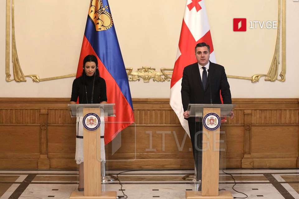Илья Дарчиашвили - Мы рассматриваем визит министра иностранных дел Лихтенштейна как выражение поддержки в столь важный для страны период, а также на фоне вызовов безопасности в регионе