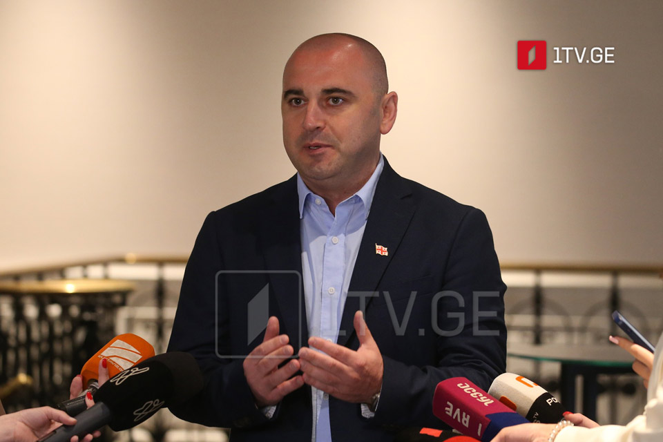 Леван Хабеишвили - Мы нацелены на победу и победим, намерены взять не пять процентов, а 55