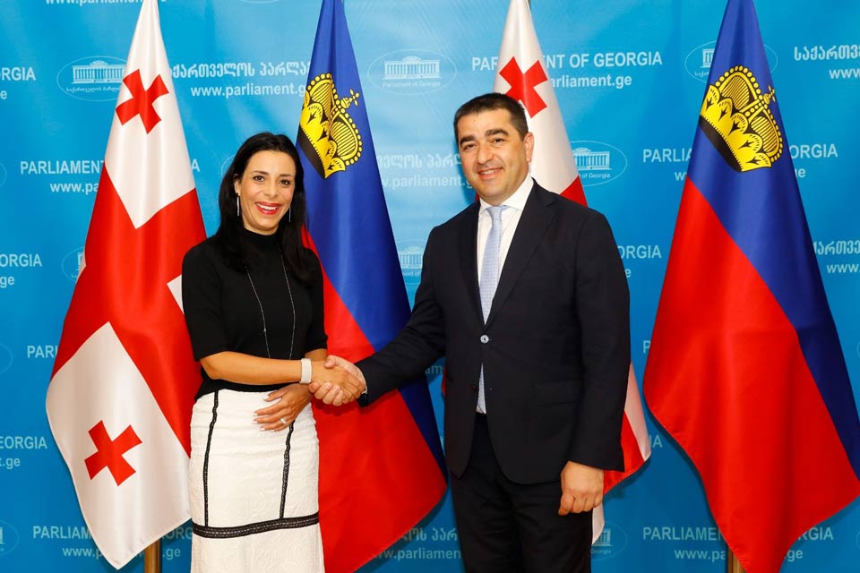 Speaker Papuashvili meets Liechtenstein's FM