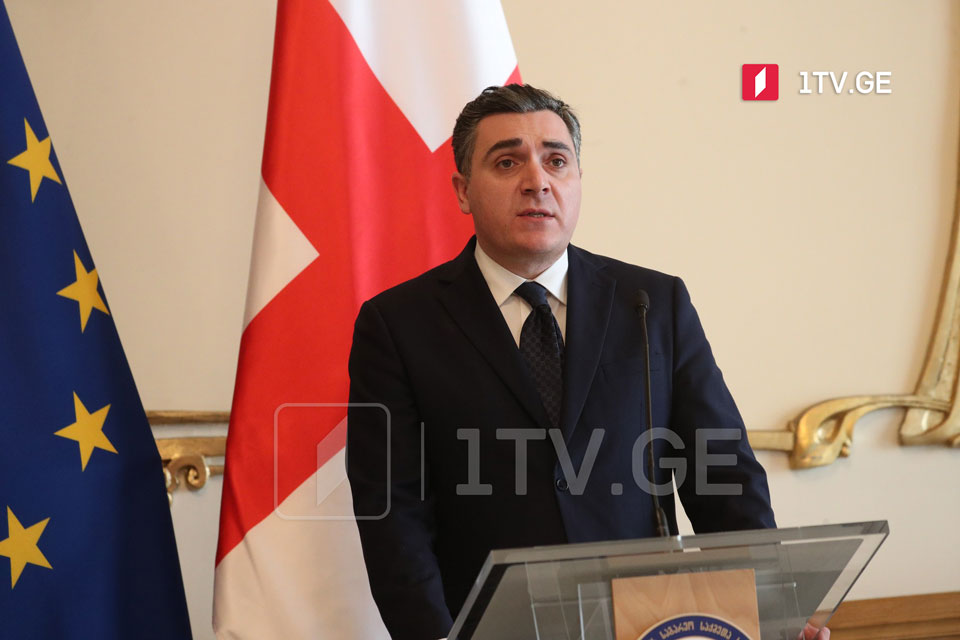 Georgian FM: Our partners witness gov't tremendous efforts