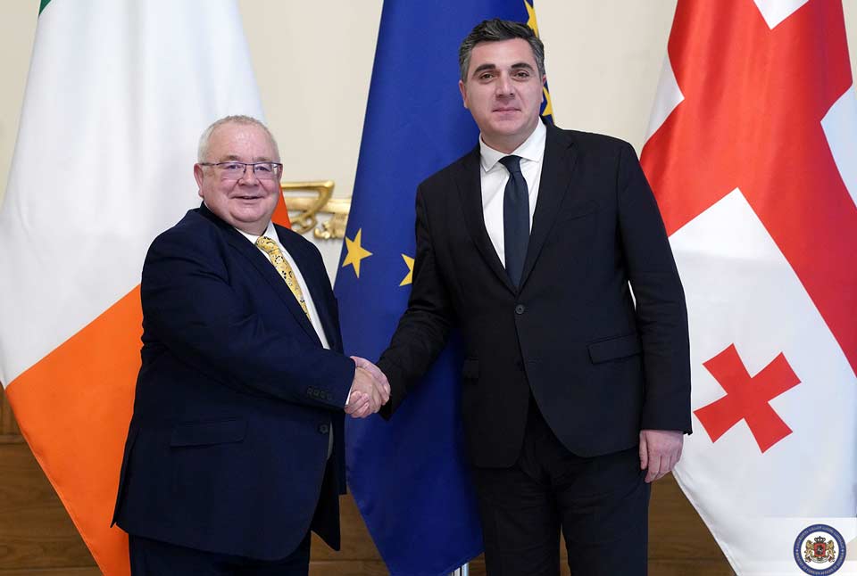 Илья Дарчиашвили встретился с председателем нижней палаты парламента Ирландии