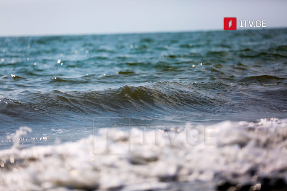 Национальное агентство окружающей среды - Качество воды в Черном море в норме