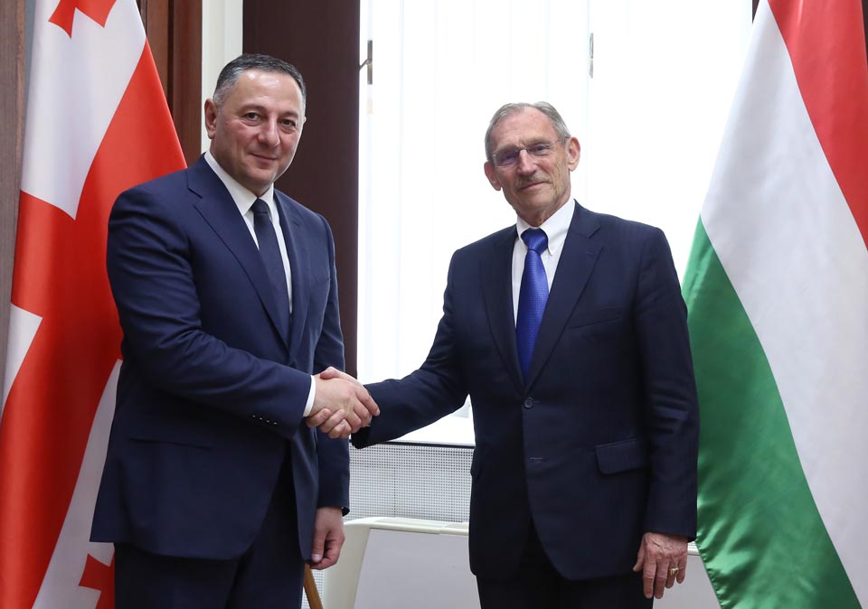 Вахтанг Гомелаури встретился с министром внутренних дел Венгрии Шандором Пинтером