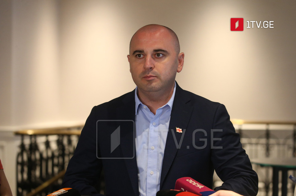 Леван Хабеишвили - Ника Мелия не представляет «Национальное движение», он больше не является членом партии