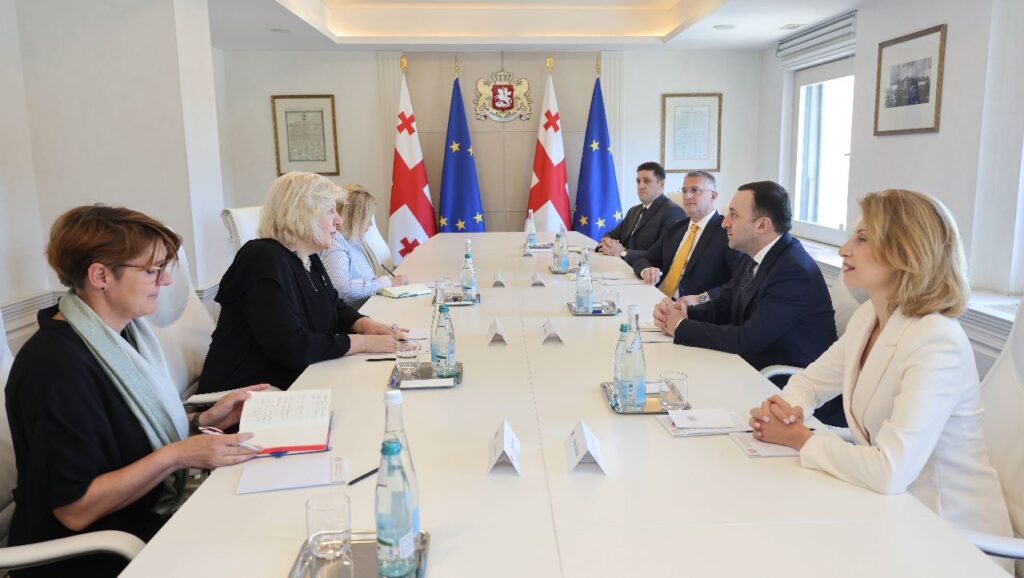 Ираклий Гарибашвили встретился с комиссаром Совета Европы по защите прав человека Дунией Миатович