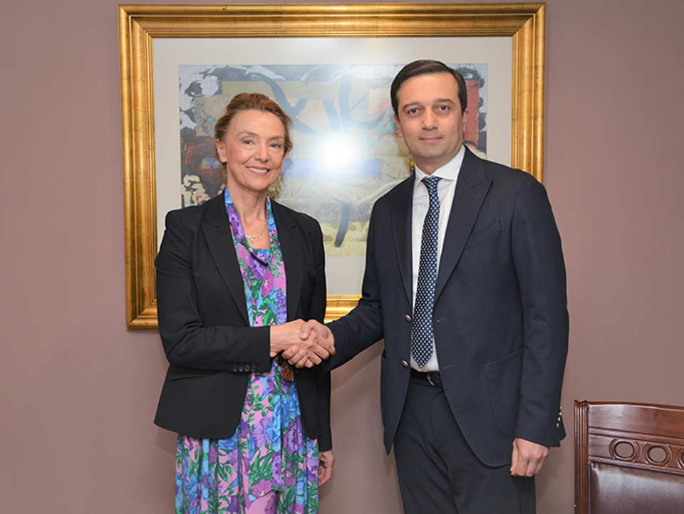 Georgian Public Defender meets CoE Secretary General