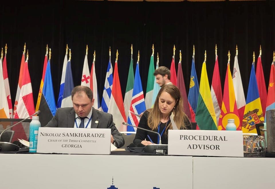 OSCE Parliamentary Assembly adopts resolution, adding note on Russian occupation