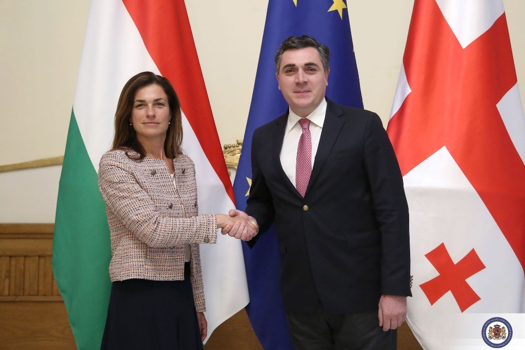 Georgian FM hosts Hungarian Justice Minister