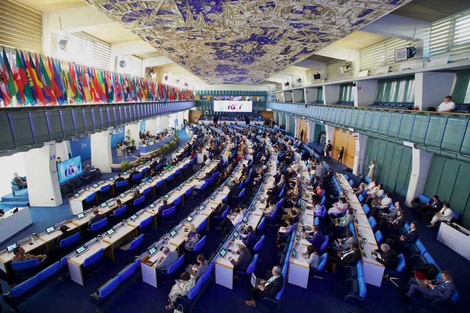 Georgia elected as FAO Council member