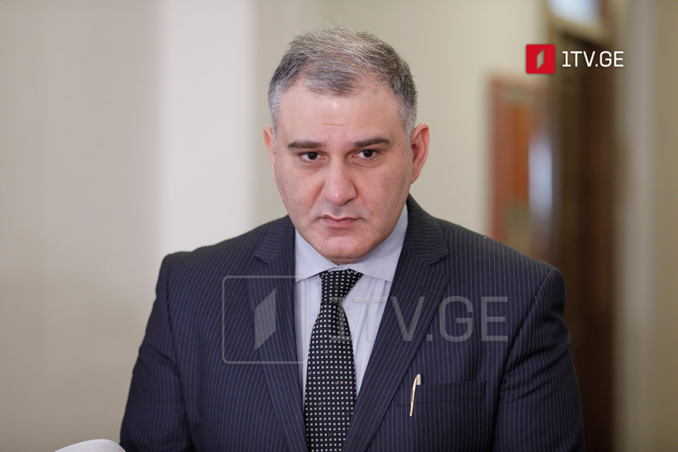 Ivanishvili's return to politics enhances potential for election success, MP Sarjveladze says